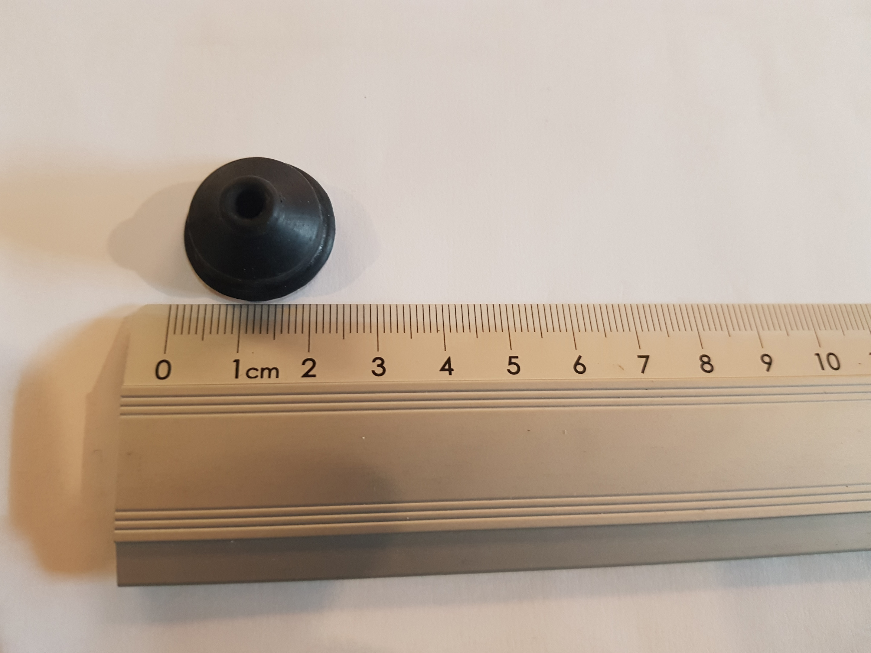 0019970681.1